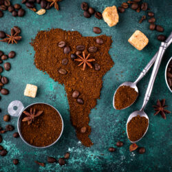 sustainable colombian coffee