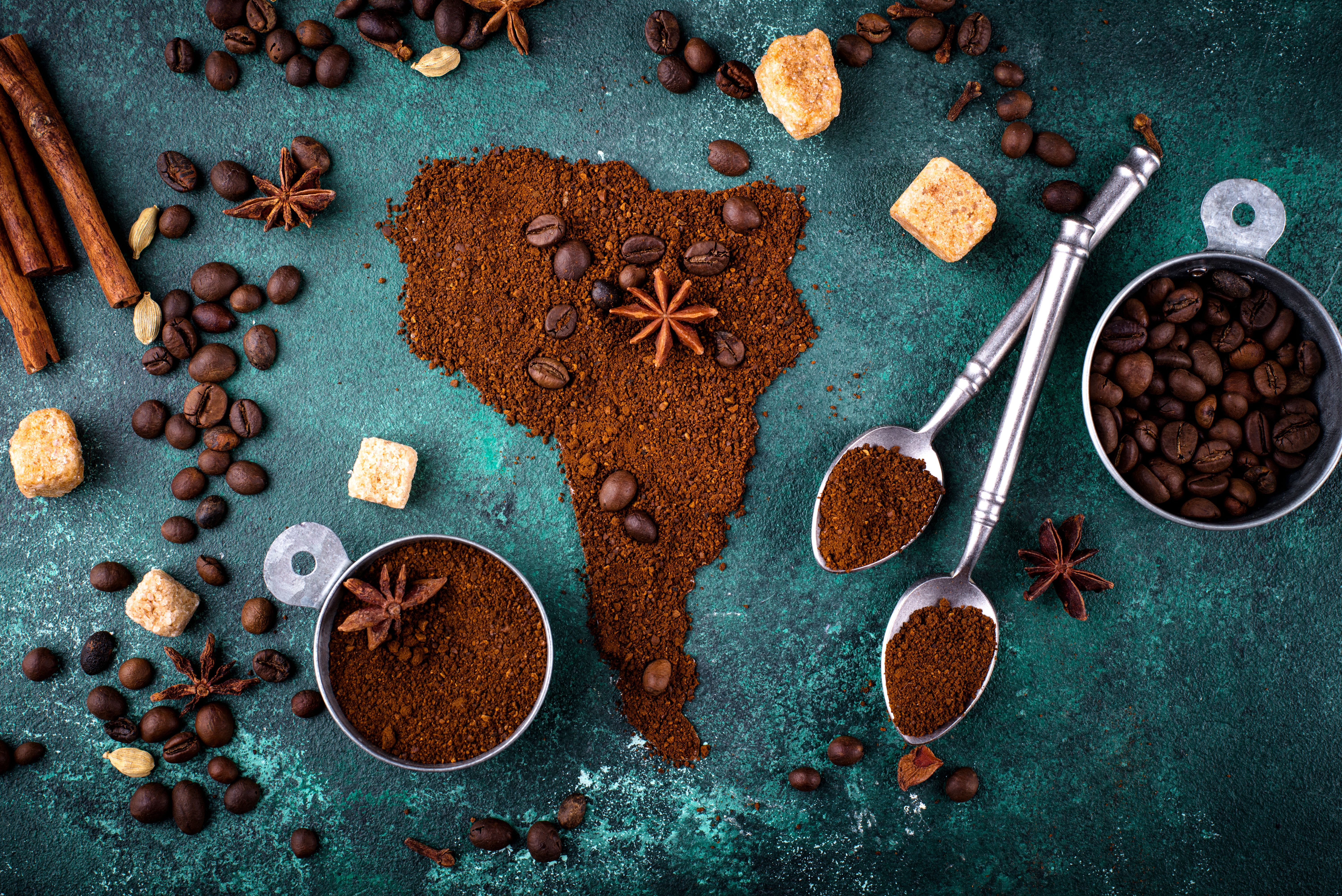 Medium-dark roast coffee beans and fresh grounds from South America